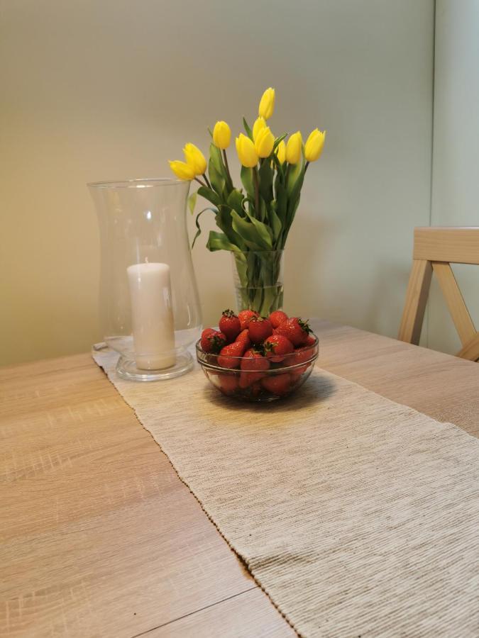 Apartament Z Kogutem 扎科帕内 外观 照片