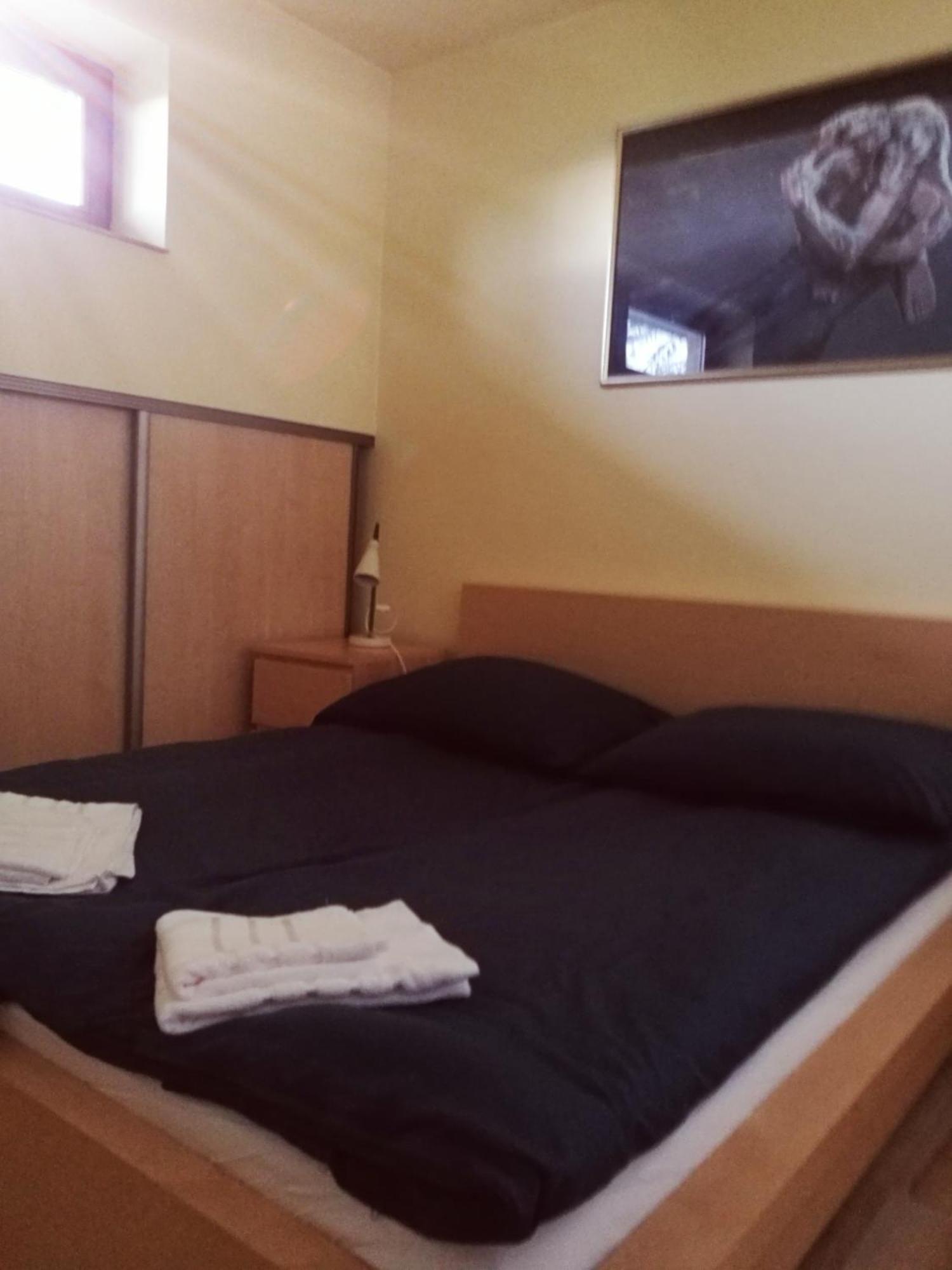 Apartament Z Kogutem 扎科帕内 外观 照片