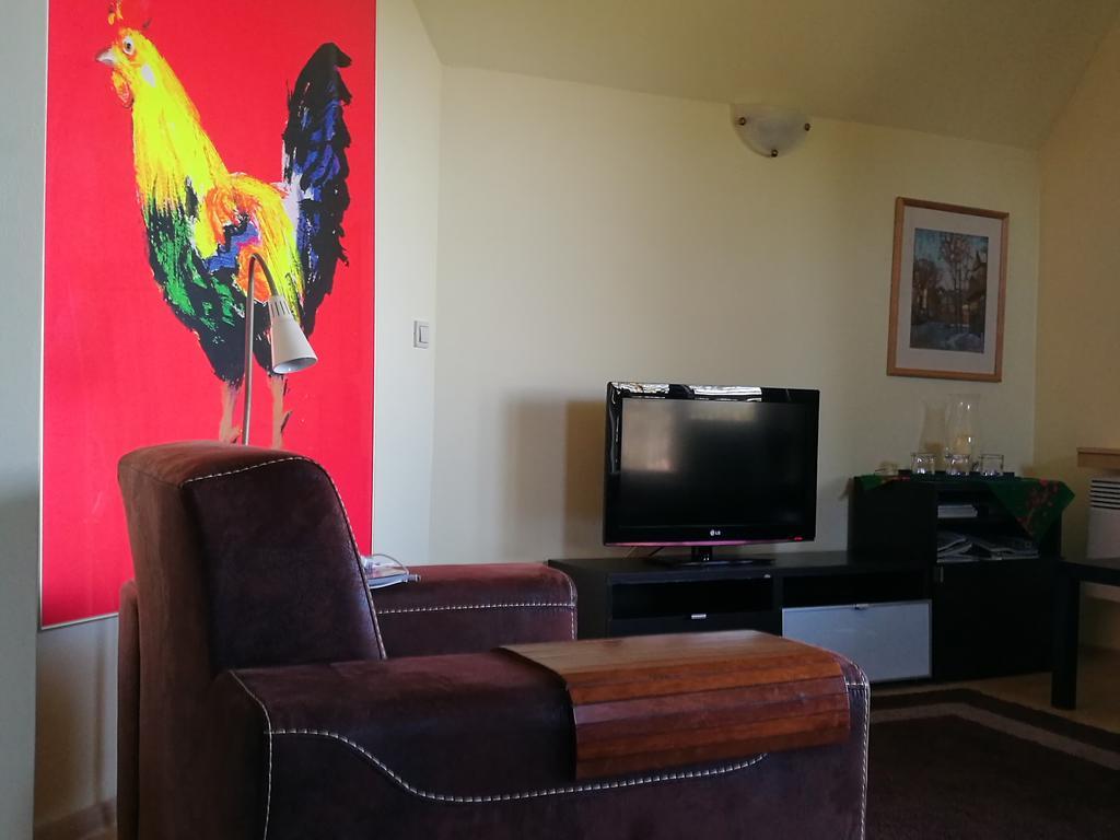 Apartament Z Kogutem 扎科帕内 外观 照片